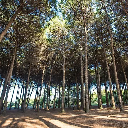 Garden Hotel Cervia